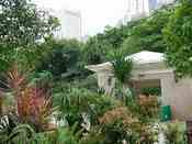 HongKong mei 2008 257.jpg